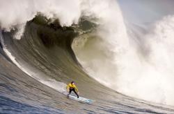 开云体育中国-从澳网翻盘到拉沃尔杯，阿尔卡拉斯状态火热的唯一传奇