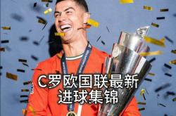 开云体育入口-欧锦赛资格赛引发热议，球迷翘首期待
