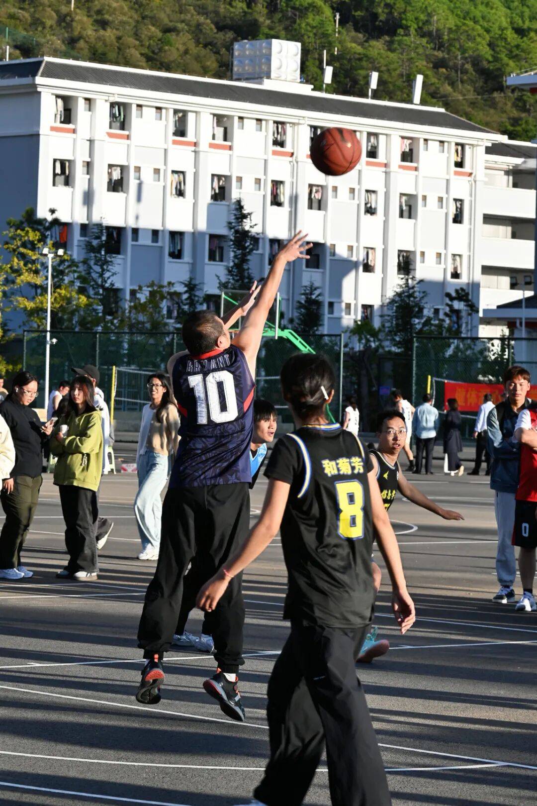 热辣篮球实力对决，观众狂热追随