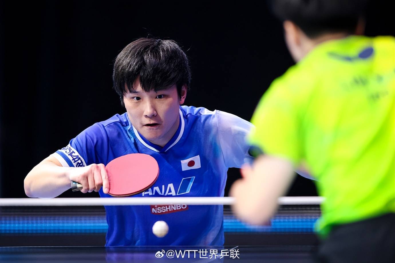 奥地利队翻盘波兰队，张本智和刷新纪录的简单介绍